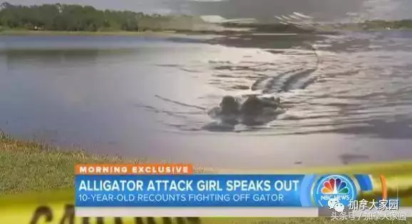 「被鱷魚死咬不放」的女童,千鈞一髮她想起自己的老師傳授的「禁招」竟然救了自己的命...