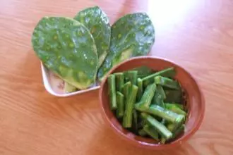 插哪都能活,燙傷、手癬、牙疼、牛皮癬都能用的上,在家就能養,關鍵時刻能救命!