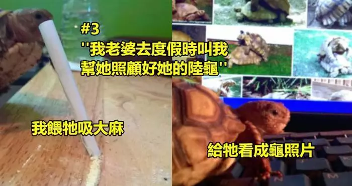 20個「一定不會讓感情無聊」的白癡腦公們!XDXD