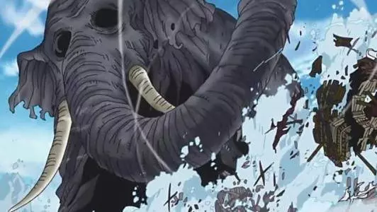 海賊王:和之國將上演動物大戰,各種神獸陸續上場!