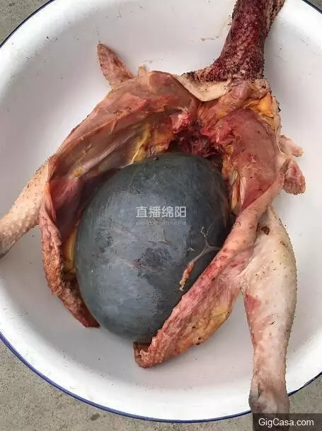 女子殺了養3年的老母雞準備熬湯,一剖開看到裏麵的『黑色巨物』頓時一驚