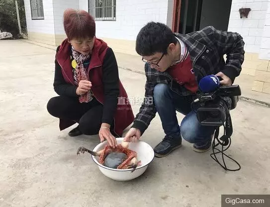 女子殺了養3年的老母雞準備熬湯,一剖開看到裏麵的『黑色巨物』頓時一驚