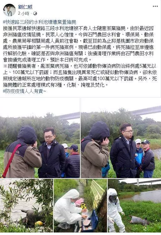 驚!死豬漂池邊 桃園市動保處採樣送驗