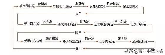 手太陰肺經何以「起於中焦」?而肝經卻非「止於中焦」?