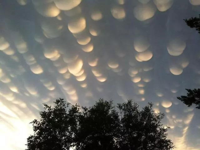 詭異「乳狀雲」現身澳洲雪梨上空,氣象專家:此乃「異變之兆」