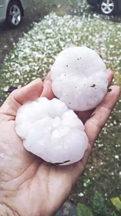詭異「乳狀雲」現身澳洲雪梨上空,氣象專家:此乃「異變之兆」