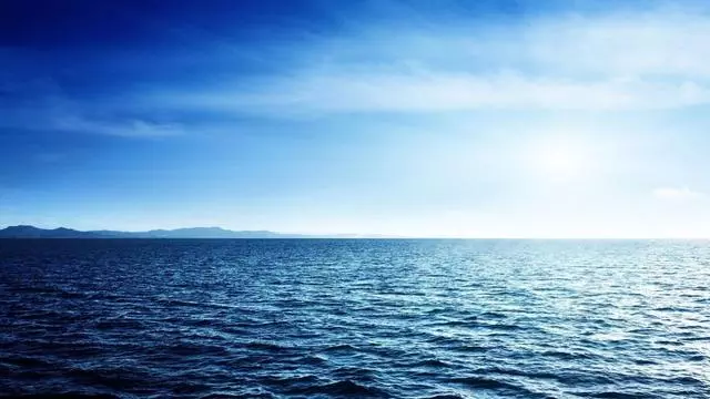 神秘的海底藏著許多未知的秘密,3800米發現前所未有的生態系統