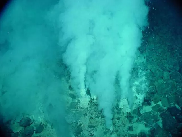 神秘的海底藏著許多未知的秘密,3800米發現前所未有的生態系統