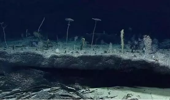 地質學家:日本已靠近馬里亞納海溝50米,大自然的報復要來了?