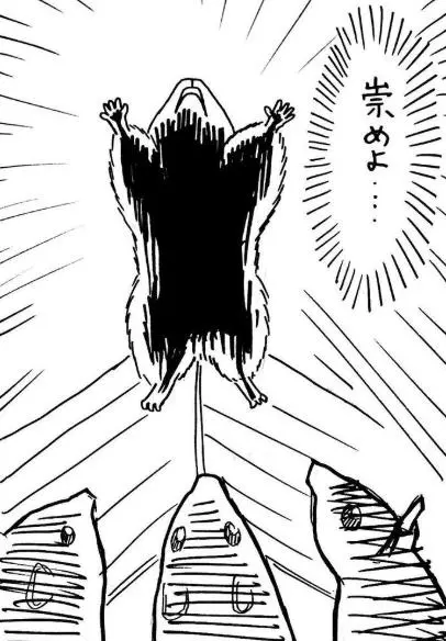 日本網友吐槽:我家倉鼠是不是看了啥奇怪的動畫