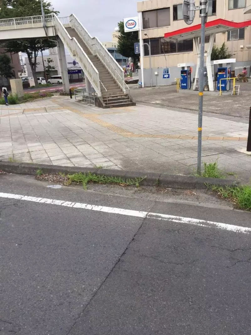 這張街景圖裡「有一顆西瓜」全球網友找到脫窗!一公布答案....所有人跪著喊:「真的是西瓜!」