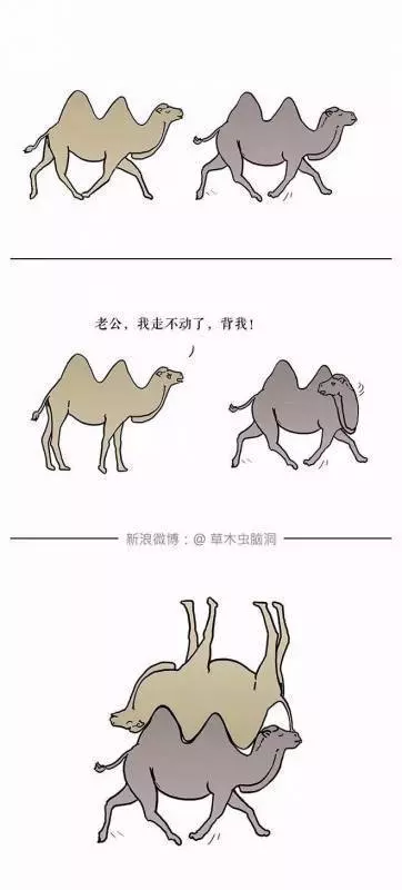 17張「讓人腦洞大開」的深度意涵插畫。 #3. 親就親裝什麼貓頭鷹!XDXD