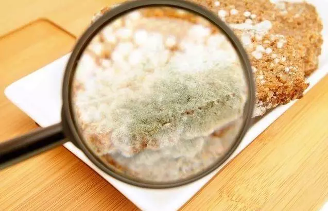 醫生告訴你,癌症最喜歡吃的5種食物,難怪癌症會找上你……