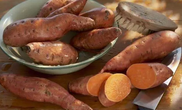 醫生告訴你,癌症最喜歡吃的5種食物,難怪癌症會找上你……