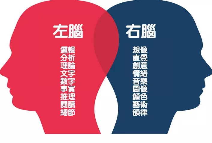 潛藏能力不同! 一張圖判斷出「你靈活的是左腦還右腦」