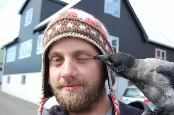 烏鴉根本是動物界裡最狂的流氓 看到「屁屁」還會有忍不住的怪癖