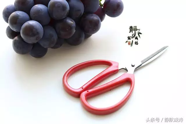 清洗葡萄有妙招,只要兩步,農藥灰塵都去掉,葡萄皮也能放心吃