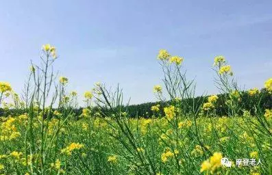 寫給已退休的您,讀完不再憂愁歲月,快樂才剛剛開始…
