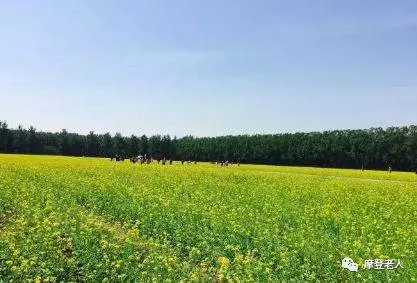 寫給已退休的您,讀完不再憂愁歲月,快樂才剛剛開始…