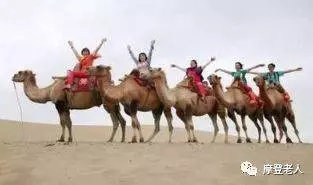 寫給已退休的您,讀完不再憂愁歲月,快樂才剛剛開始…
