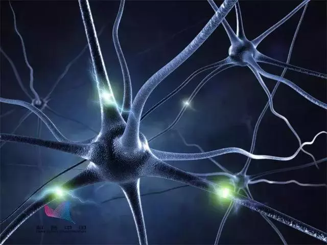 吃鹽越少就越健康?未必!盲目低鹽飲食有隱患,快看!