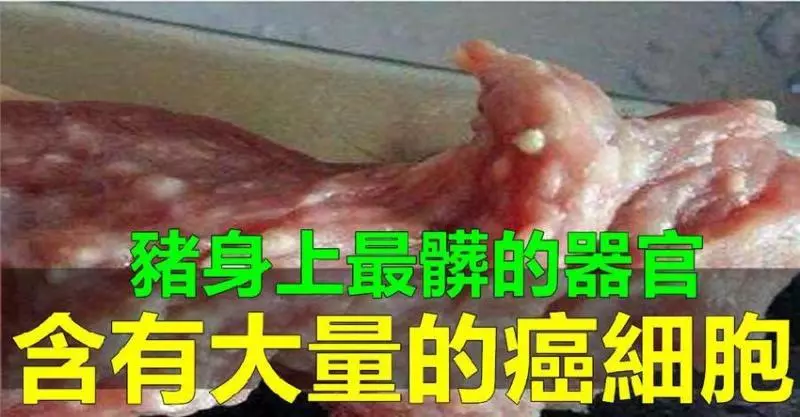 豬身上最髒的「器官」,含有大量的「癌細胞」,別忽視,否則癌症不請自來!