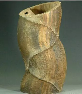 大媽上山砍竹子曬衣服,發現竹子「十分奇特」,帶回家兒子跳起來大喊:我們家要發財了