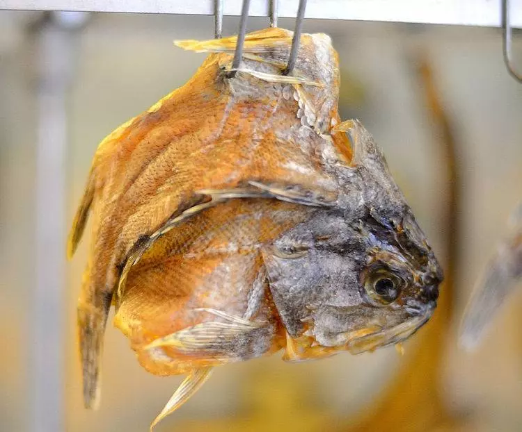 兒子生日,婆婆送來十斤乾魚,我嫌腥送鄰居,鄰居嘗後連夜搬家