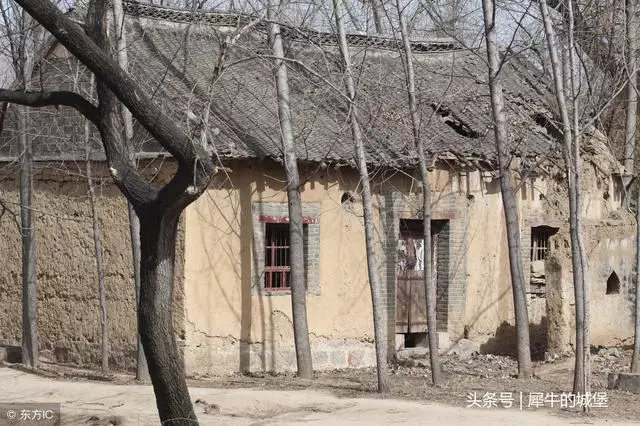 當了上門女婿兩年,媽來我家妻子熱情招待,可是打開冰箱我想離婚