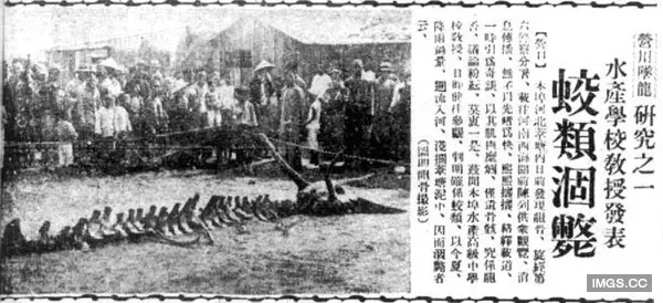 有圖有真相! 蛟龍曾在1934年於遼寧出現