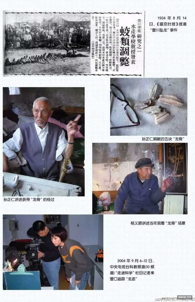 有圖有真相! 蛟龍曾在1934年於遼寧出現
