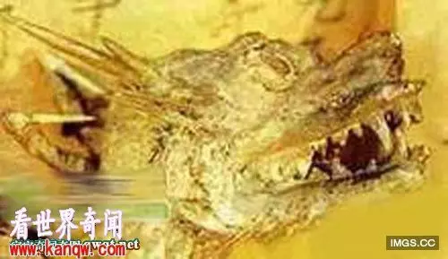 有圖有真相! 蛟龍曾在1934年於遼寧出現