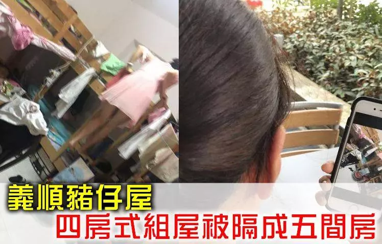 WP想在新加坡打工賺錢?我勸你不要來,非法居住才能攢下積蓄