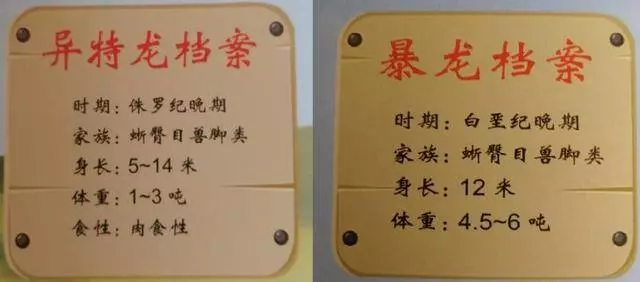 海賊王分析:德雷克設定被改?不!霸王龍另有其人,並且早已登場