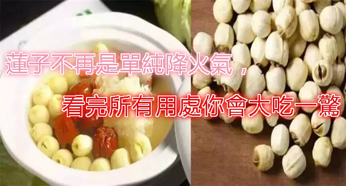 蓮子不再是單純降火氣,看完所有用處你會大吃一驚!快拿著裏麵附的小食譜做給身邊需要的人吃
