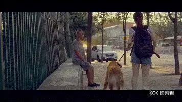 對人最友好的十種狗狗排名