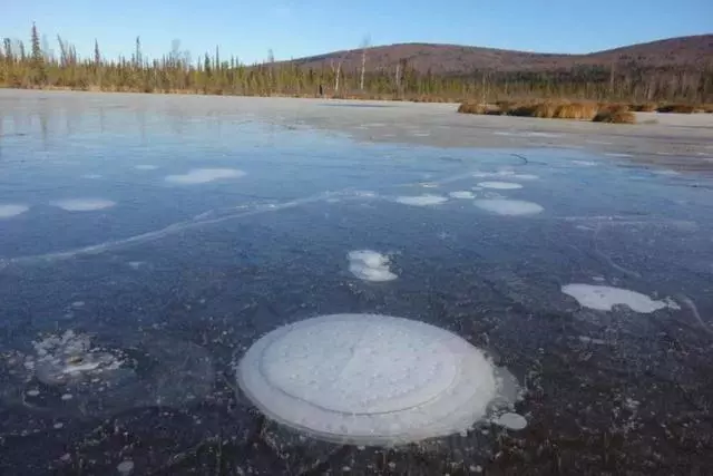 北極正在漏氣?全球變暖讓地球的血液不斷流失,人類需反省