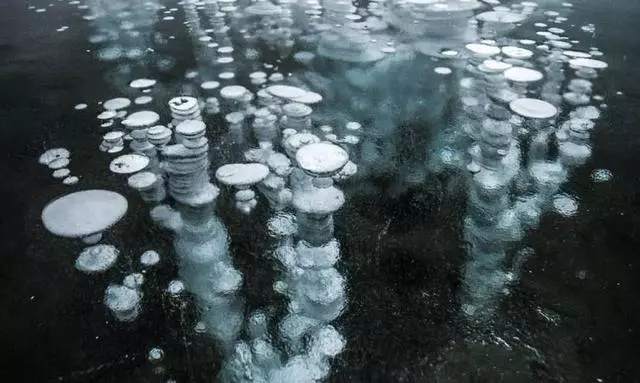 北極正在漏氣?全球變暖讓地球的血液不斷流失,人類需反省