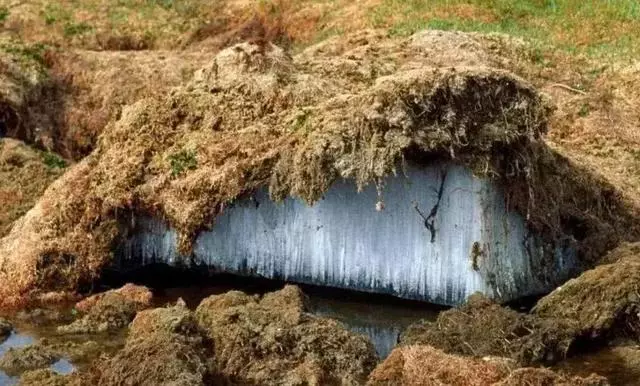北極正在漏氣?全球變暖讓地球的血液不斷流失,人類需反省