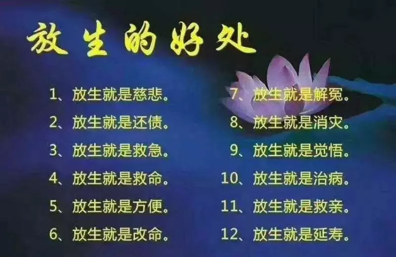 驚!180斤「魚王」被殘殺後,竟化為怨靈報復12個村子……因果何曾饒過誰?