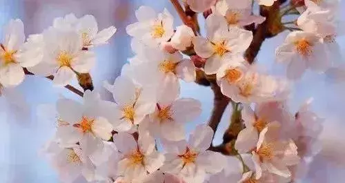 老伴走了,世界僅剩我一個人!(看完,落淚了)
