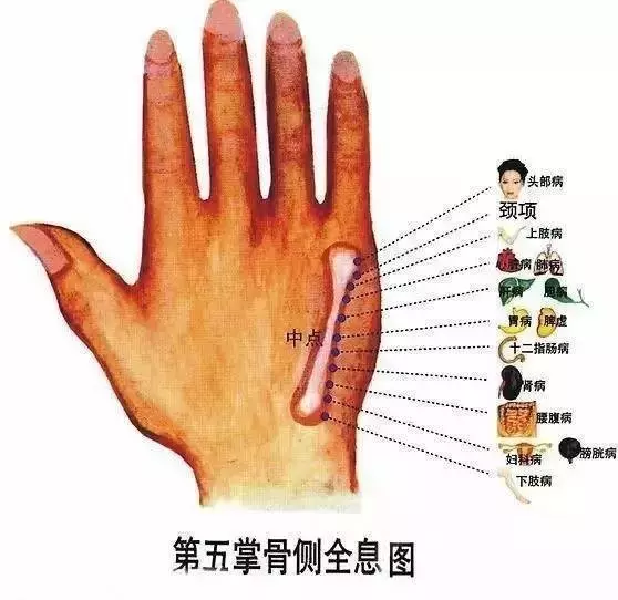 身體好不好,摸「這塊骨頭」就知道!