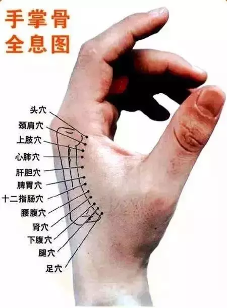 身體好不好,摸「這塊骨頭」就知道!