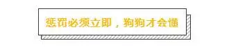 無效的打罵懲罰,對狗來說就是虐待
