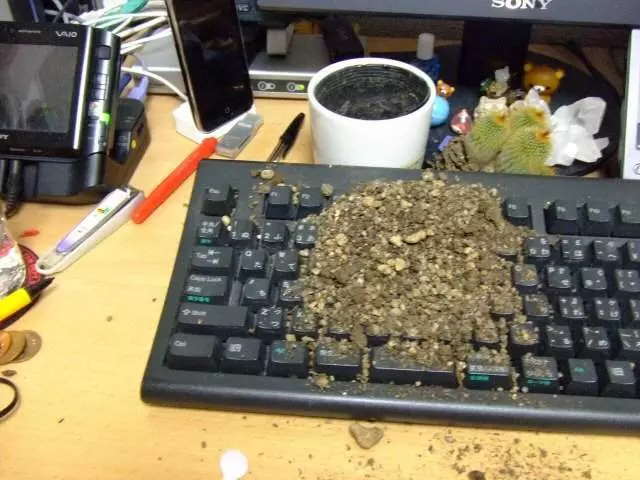 電腦一中這種毒就沒救了 日網友分享「災情」:它都不下來啦QQ