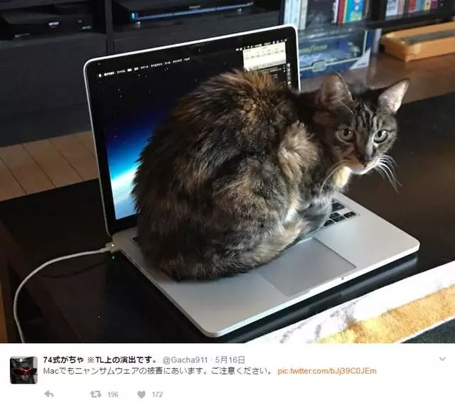 電腦一中這種毒就沒救了 日網友分享「災情」:它都不下來啦QQ