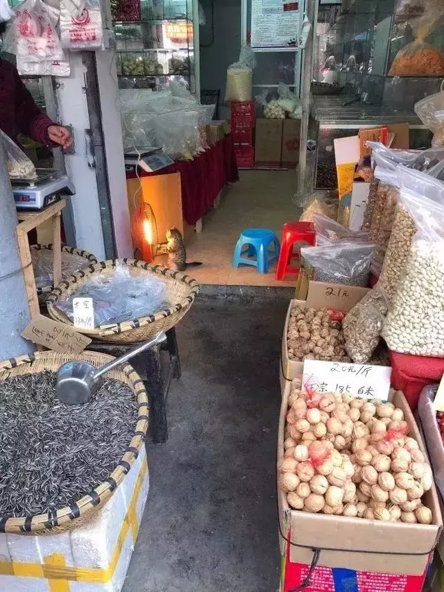 路過雜貨店發現「店喵在烤手手」 它轉頭髮現有客人秒賣萌:人客來唷~