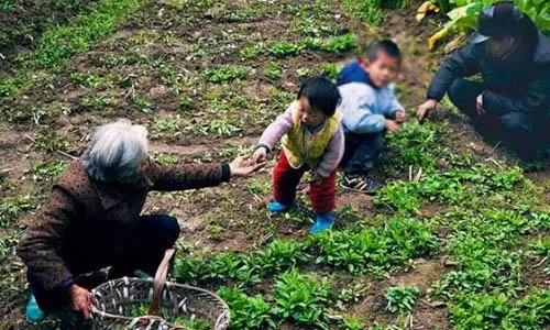 婆婆對小姑子太偏心!老公怒了,家產全給你,老媽給你養!
