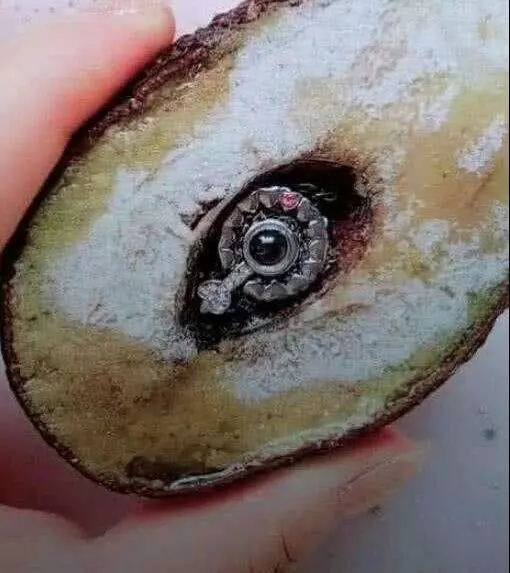 女孩收拾房間時,翻出了前任送的生日禮物,切開後無法淡定