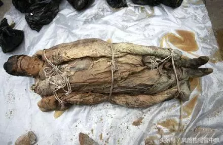 出土棺材打開後, 屍體飄出香味,千古未有!當大家湊近棺材去看時,卻看到了更加令人震驚的一幕.....